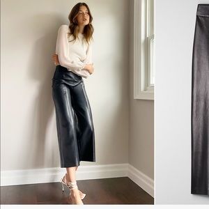 Aritizia Vegan Leather Gondola Pant